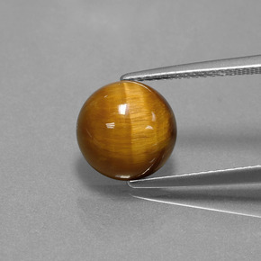 3.69克拉天然棕色Tiger's Eye，圆形切割，10.06毫米，不透明
