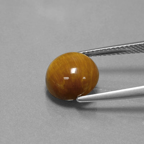 3.69克拉天然棕色Tiger's Eye，圆形切割，10.06毫米，不透明