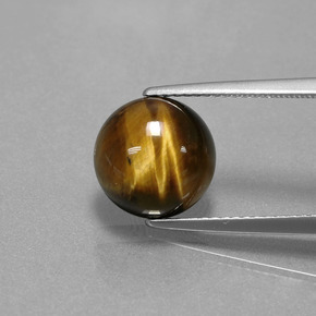 3.72克拉天然棕色Tiger's Eye，圆形切割，10.08毫米，不透明