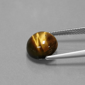 3.72克拉天然棕色Tiger's Eye，圆形切割，10.08毫米，不透明