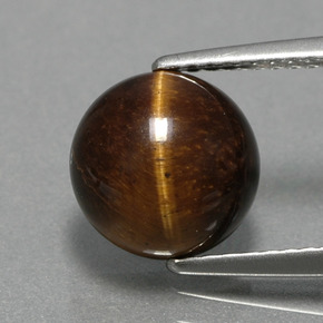 2.79克拉天然棕色Tiger's Eye，圆形切割，9.05毫米，不透明