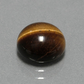2.79克拉天然棕色Tiger's Eye，圆形切割，9.05毫米，不透明