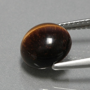2.79克拉天然棕色Tiger's Eye，圆形切割，9.05毫米，不透明