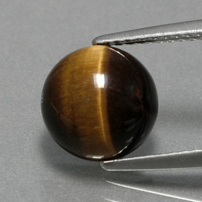 2.78克拉天然棕色Tiger's Eye，圆形切割，9.07毫米，不透明