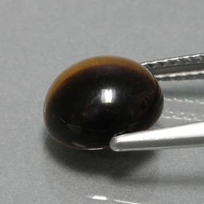 2.78克拉天然棕色Tiger's Eye，圆形切割，9.07毫米，不透明