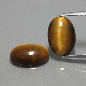 天然棕色Tiger's Eye，椭圆形切割，14×10毫米，不透明
