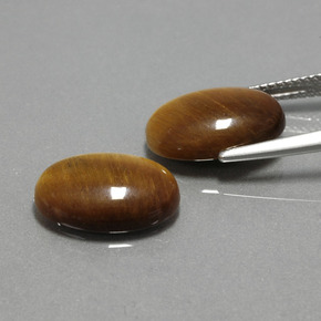 天然棕色Tiger's Eye，椭圆形切割，14×10毫米，不透明