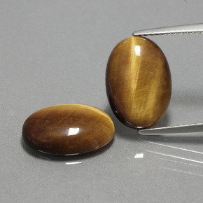 天然棕色Tiger's Eye，椭圆形切割，14×10毫米，不透明
