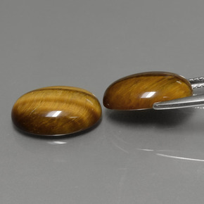 天然棕色Tiger's Eye，椭圆形切割，14×10毫米，不透明