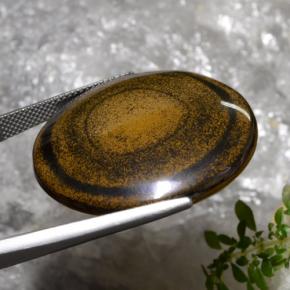 59.01克拉天然棕色Tiger's Eye，圆形切割，30.57毫米，不透明