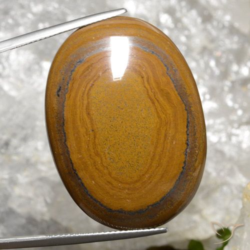 63.98ct 天然 金棕色 虎眼石, 椭圆形, 不透明