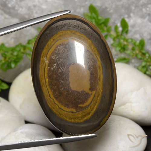 39.14ct 天然 暖棕 虎眼石, 椭圆形, 不透明