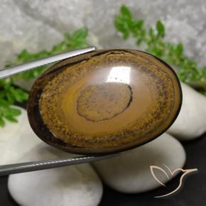 52.57克拉天然虎眼石，椭圆形，不透明
