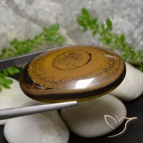 52.57克拉天然虎眼石，椭圆形，不透明