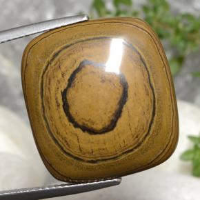 23.77克拉天然棕色Tiger's Eye，垫形剪裁，21.2×19.7毫米，不透明