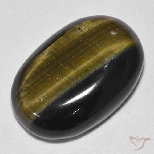 19.25ct 天然 金棕色 虎眼石, 椭圆形, 不透明