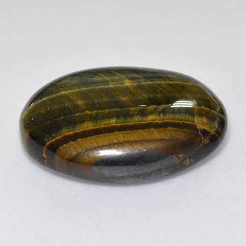 12.92克拉天然多色Tiger's Eye，椭圆形切割，19.8×15.7毫米，不透明