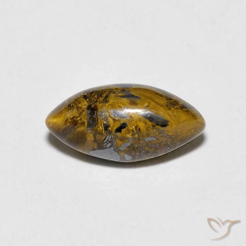 1.53ct 天然 金棕色 虎眼石, 榄尖形, 不透明