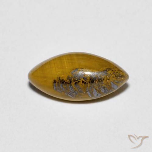 1.20ct 天然 Medium Dark-Brown 虎眼石, 榄尖形, 不透明