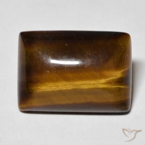 12.74ct 天然 姜饼布朗 虎眼石, 狭长方形, 不透明