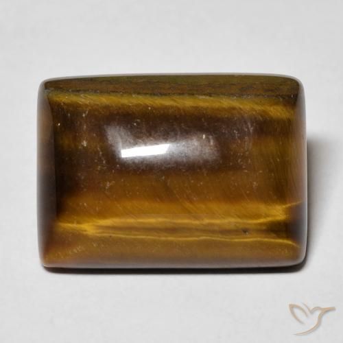13.54ct 天然 姜饼布朗 虎眼石, 狭长方形, 不透明