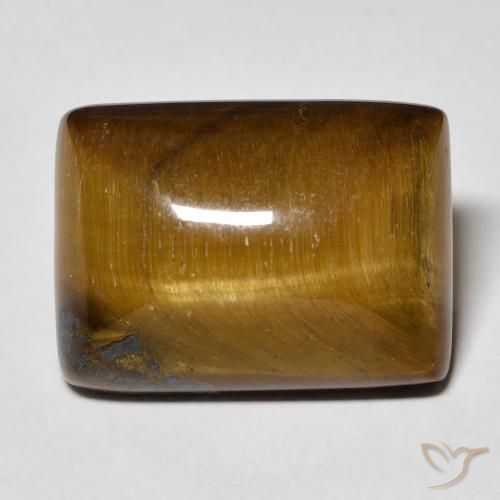 14.24ct 天然 姜饼布朗 虎眼石, 狭长方形, 不透明