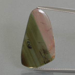 9.45克拉天然多色碧玺，异形，24.9×14.4毫米，透明