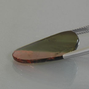 9.45克拉天然多色碧玺，异形，24.9×14.4毫米，透明