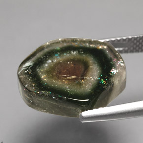 10.79克拉天然多色碧玺，透明，15.5×15.1毫米，透明/半透明