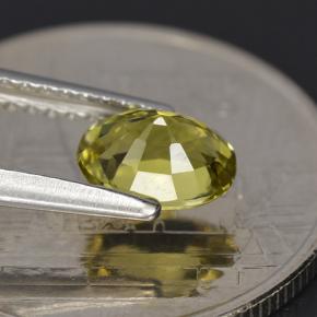 0.79克拉天然绿色碧玺，椭圆形切割，6.7×4.9毫米，VVS