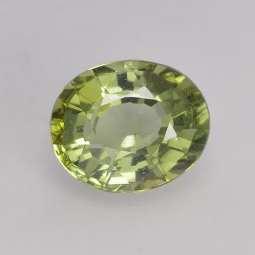 0.79克拉天然绿色碧玺，椭圆形切割，6.3×5.2毫米，VVS