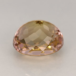 3.91克拉天然多色碧玺，椭圆形切割，9.9×8.3毫米，IF