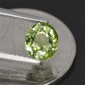1.23克拉天然绿色碧玺，椭圆形切割，6.9×5.9毫米，VVS