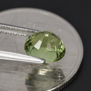 1.23克拉天然绿色碧玺，椭圆形切割，6.9×5.9毫米，VVS