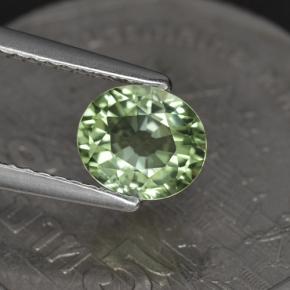 1.00克拉天然绿色碧玺，椭圆形切割，6.7×5.8毫米，VVS