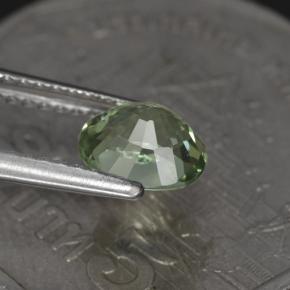 1.00克拉天然绿色碧玺，椭圆形切割，6.7×5.8毫米，VVS