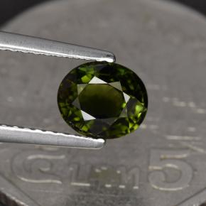1.23克拉天然绿色碧玺，椭圆形切割，6.9×5.8毫米，VVS