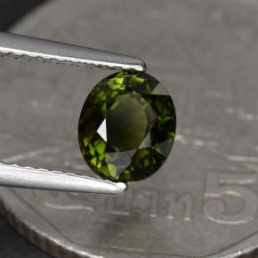 1.23克拉天然绿色碧玺，椭圆形切割，6.9×5.8毫米，VVS