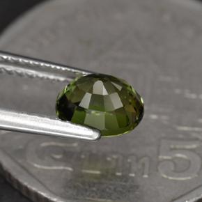 1.23克拉天然绿色碧玺，椭圆形切割，6.9×5.8毫米，VVS