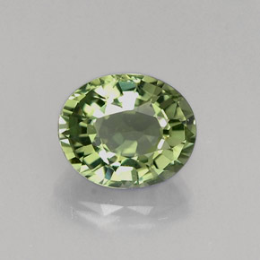 0.86克拉天然绿色碧玺，椭圆形切割，6.6×5.5毫米，VVS