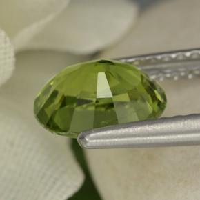 1.28克拉天然绿色碧玺，椭圆形切割，7.7×6.4毫米，VVS-VS