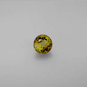 0.62克拉天然多色碧玺，圆形切割，4.94毫米，VVS