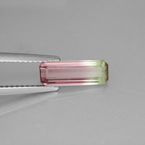 1.17克拉天然多色碧玺，祖母绿式切割，11.3×4毫米，VS