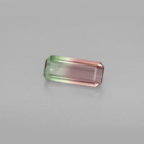 0.98克拉天然多色碧玺，祖母绿式切割，8.8×3.8毫米，VVS-VS