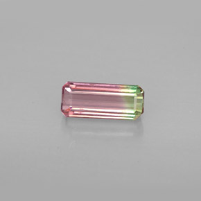 1.03克拉天然多色碧玺，祖母绿式切割，8.8×3.8毫米，VVS-VS