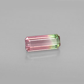 1.03克拉天然多色碧玺，祖母绿式切割，8.8×3.8毫米，VVS-VS