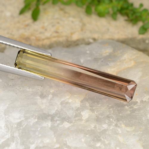 4.87克拉天然双色碧玺，祖母绿式切割，25.6×4.6毫米，VVS-VS