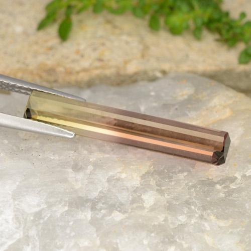 4.87克拉天然双色碧玺，祖母绿式切割，25.6×4.6毫米，VVS-VS