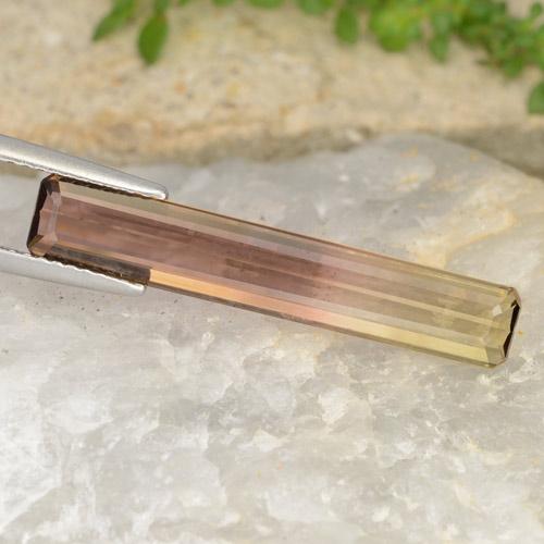 4.63克拉天然双色碧玺，祖母绿式切割，26.8×4.9毫米，VVS-VS