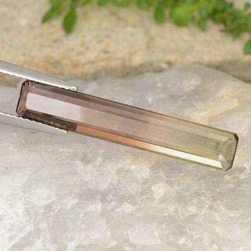 4.63克拉天然双色碧玺，祖母绿式切割，26.8×4.9毫米，VVS-VS
